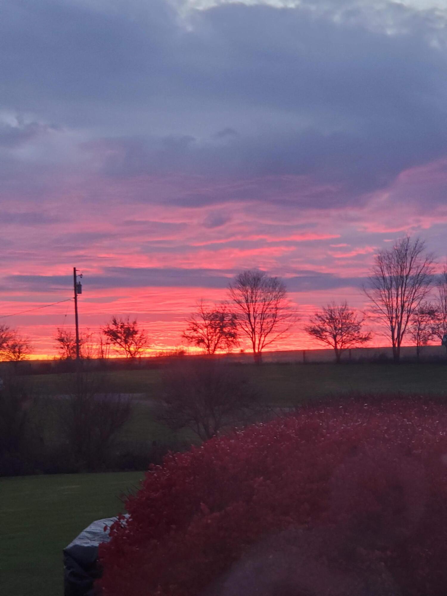 Paris, Kentucky 40361, United States, 4 Bedrooms Bedrooms, ,4 BathroomsBathrooms,Residential,Active,91909