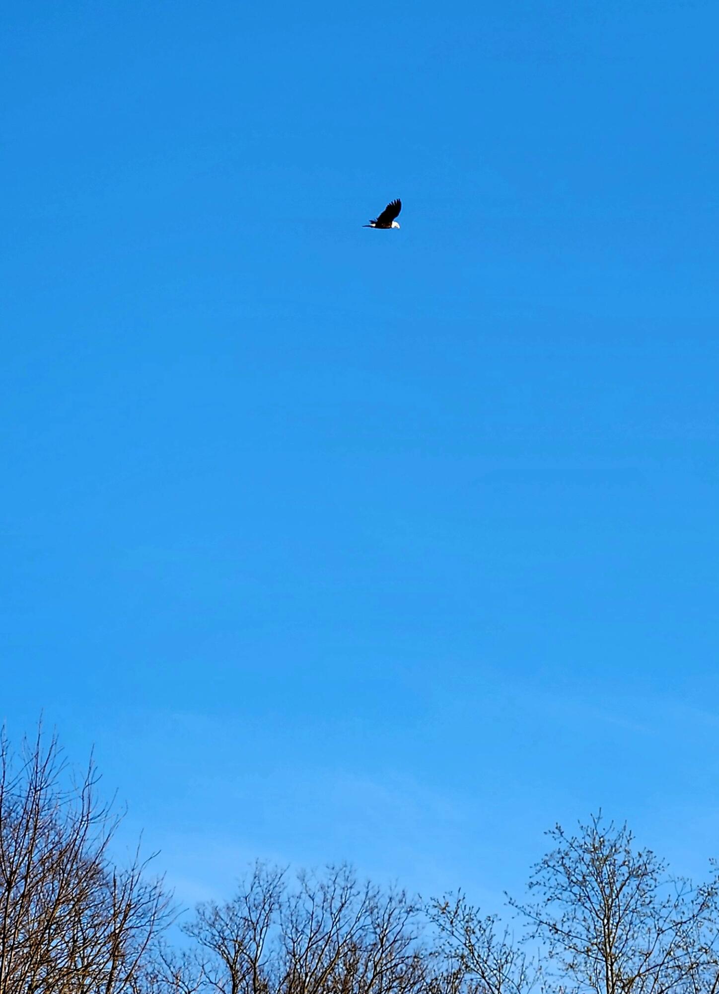 Paris, Kentucky 40361, United States, 4 Bedrooms Bedrooms, ,4 BathroomsBathrooms,Residential,Active,91909