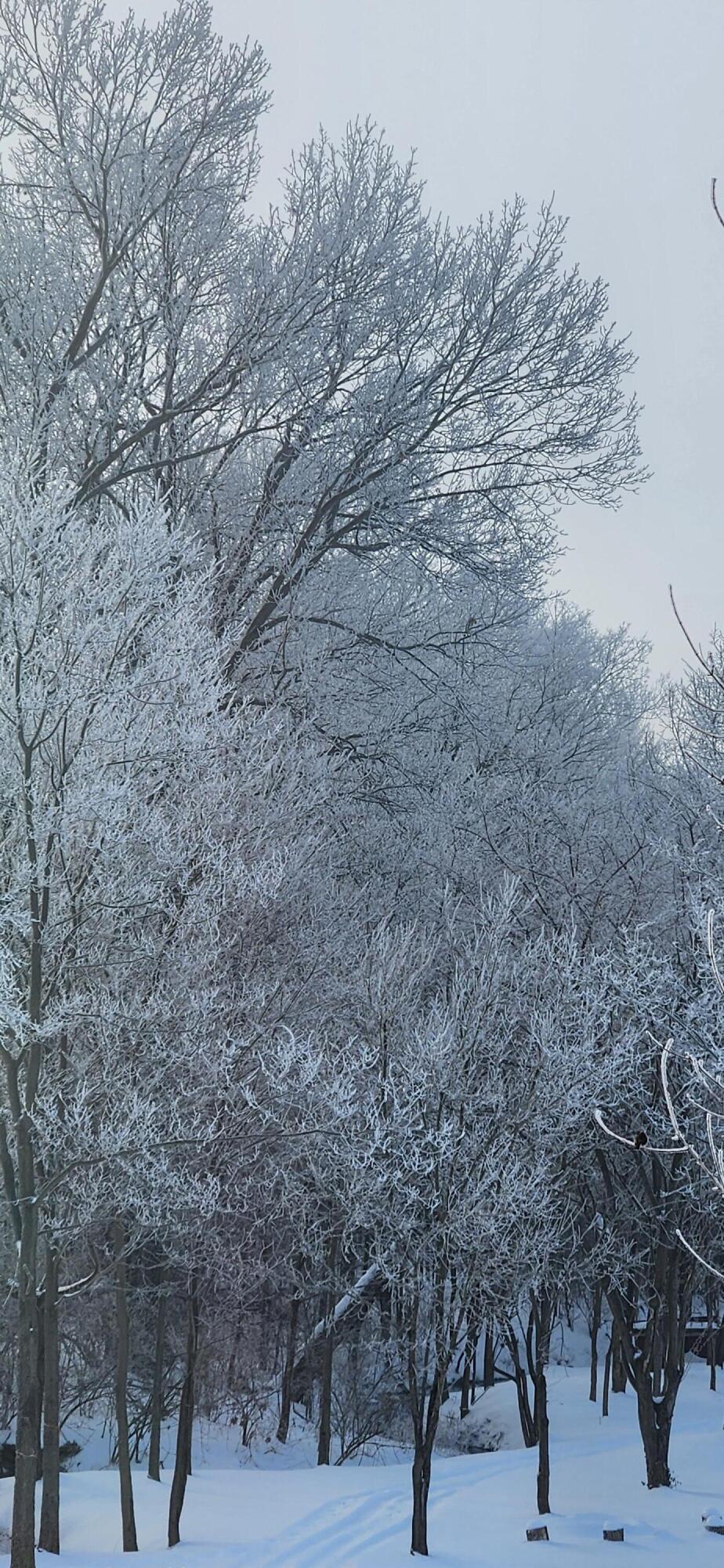 Paris, Kentucky 40361, United States, 4 Bedrooms Bedrooms, ,4 BathroomsBathrooms,Residential,Active,91909