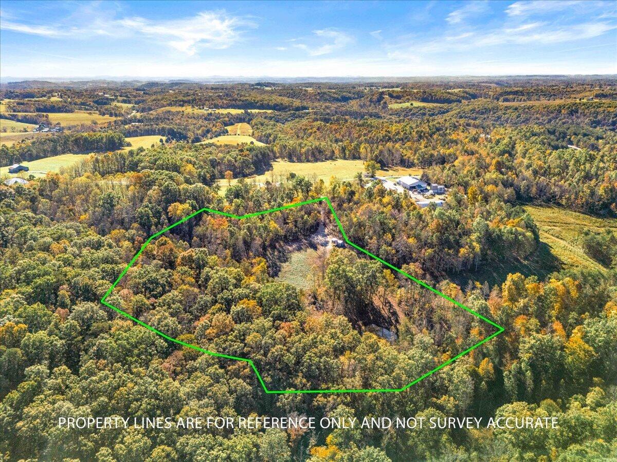 686 Watt Nantz Road