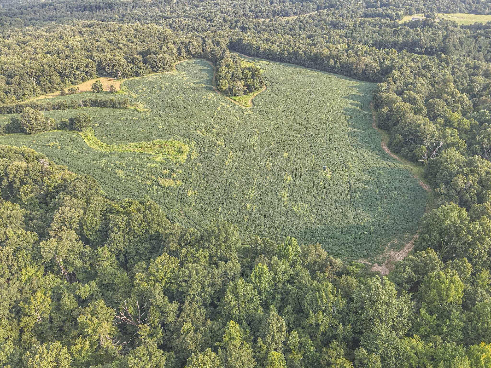 1134 Pisgah Road