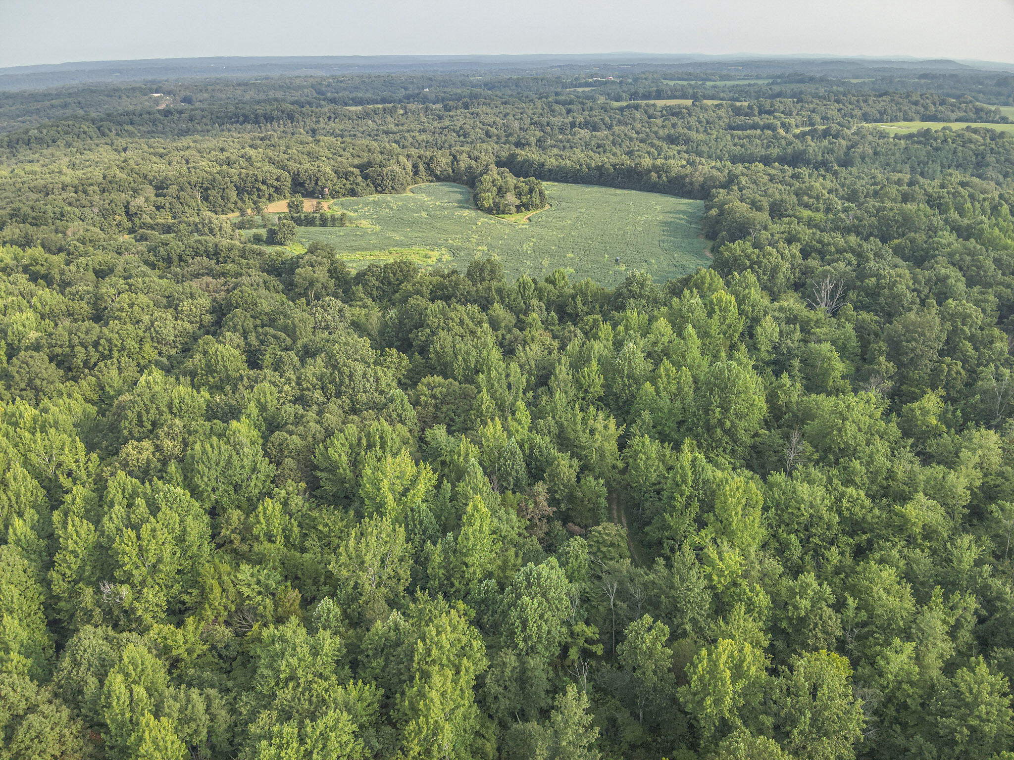 1134 Pisgah Road