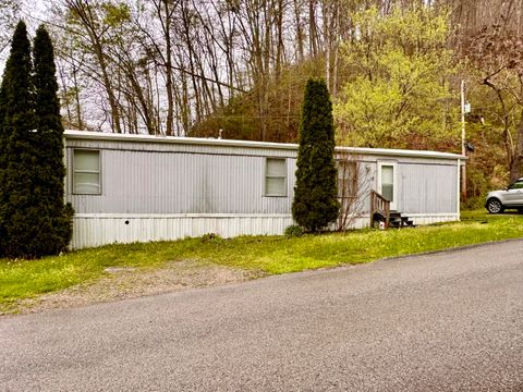 157 Bill King Hollow, Pikeville, KY 41501 - #: 24006931