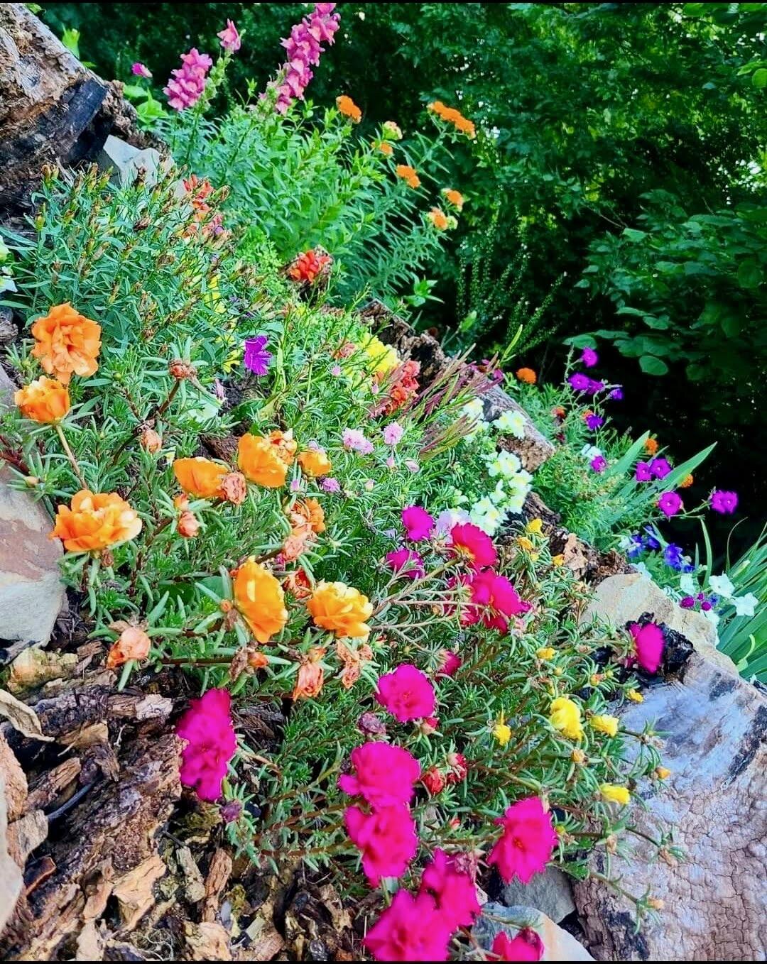 Berea, Kentucky 40403, United States, 4 Bedrooms Bedrooms, ,3 BathroomsBathrooms,Residential,Contingent,115744