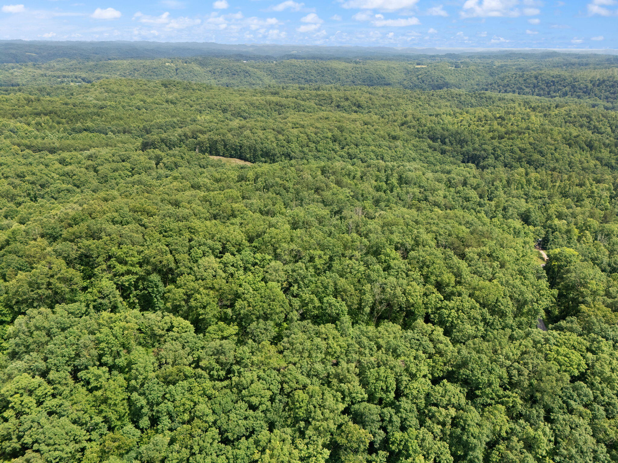 Beattyville, Kentucky 41311, United States, ,Land,Active,199285