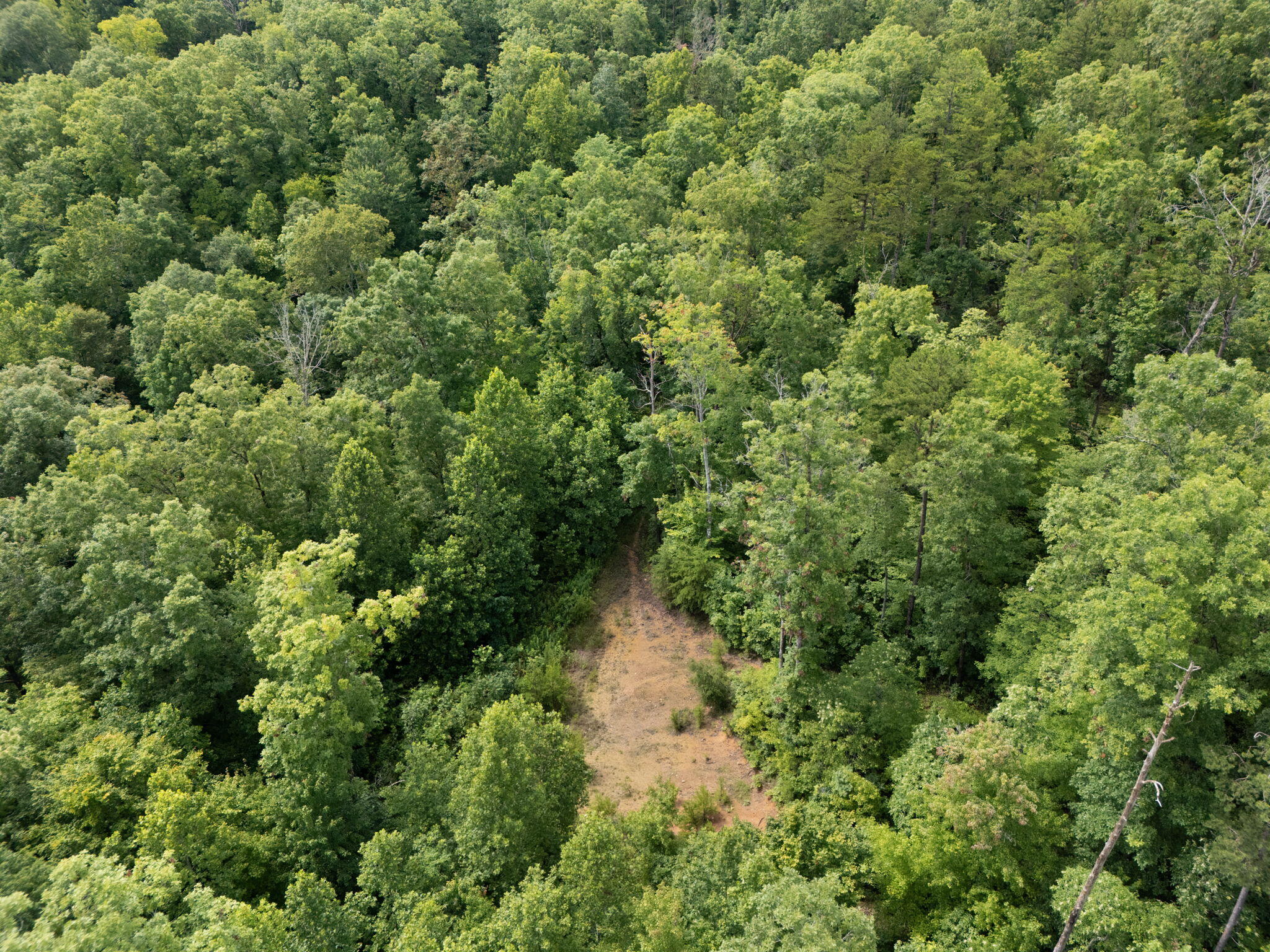 Beattyville, Kentucky 41311, United States, ,Land,Active,199285