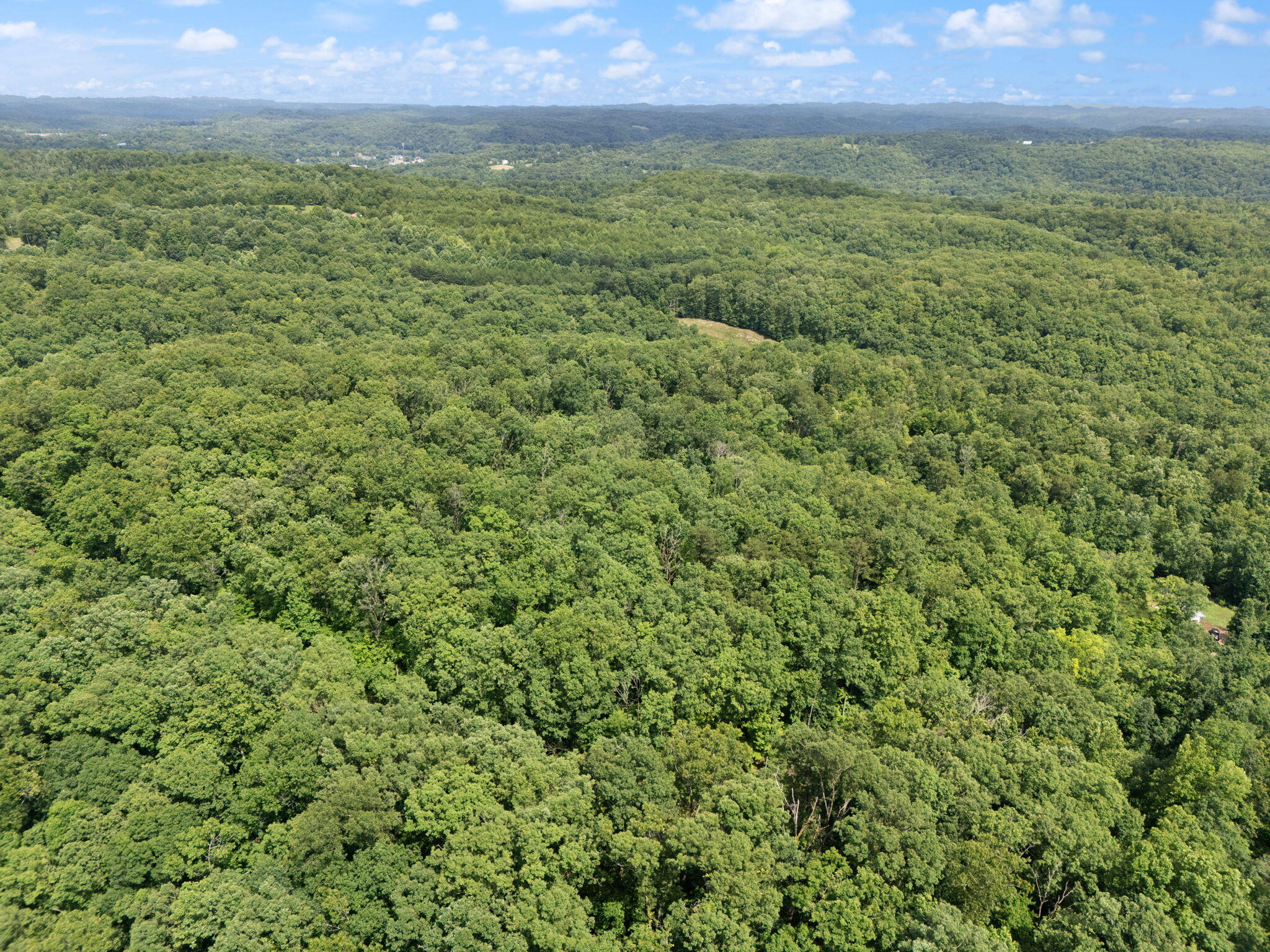 Beattyville, Kentucky 41311, United States, ,Land,Active,199285