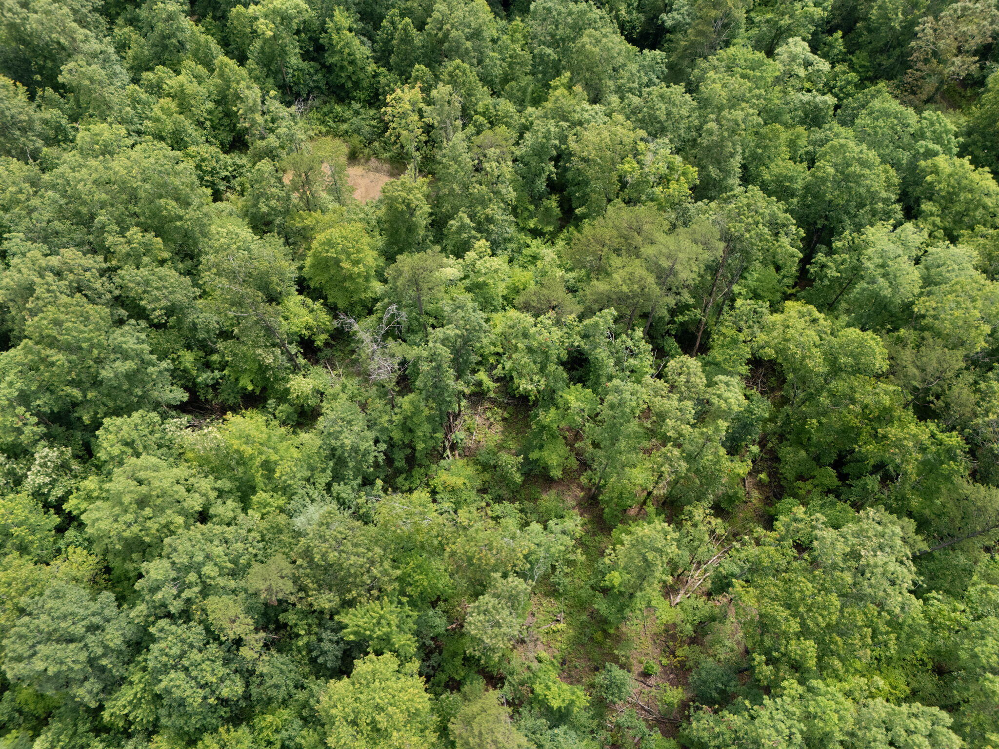 Beattyville, Kentucky 41311, United States, ,Land,Active,199285