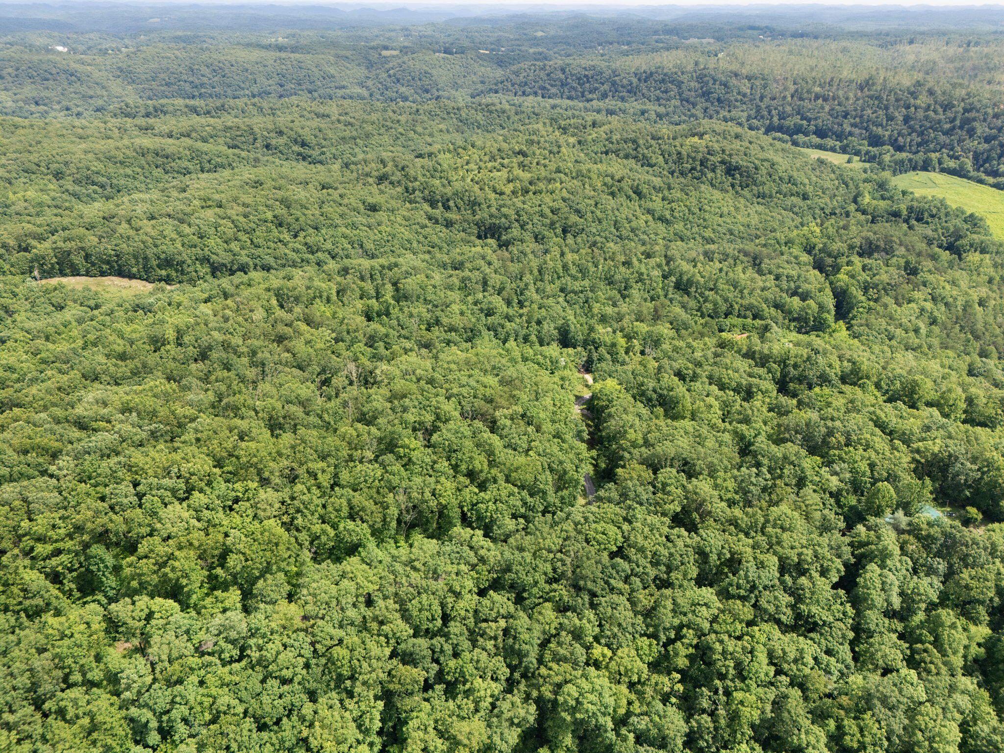 Beattyville, Kentucky 41311, United States, ,Land,Active,199285