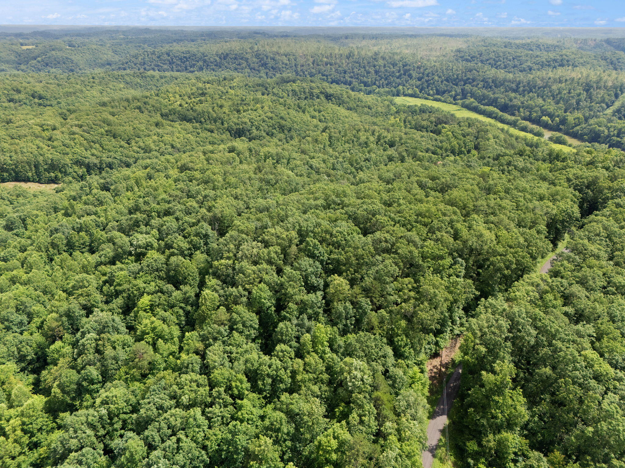 Beattyville, Kentucky 41311, United States, ,Land,Active,199285