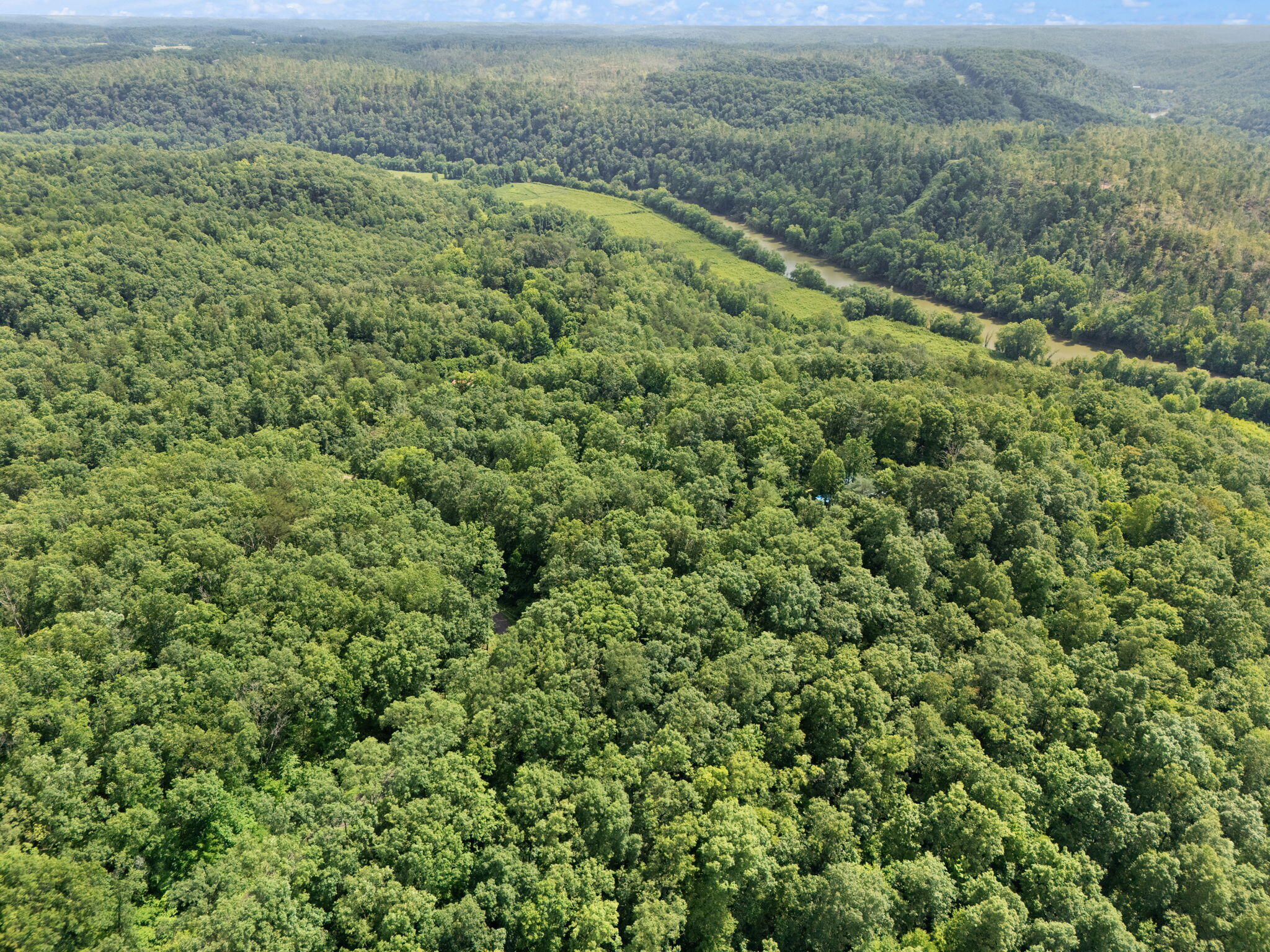 Beattyville, Kentucky 41311, United States, ,Land,Active,199285