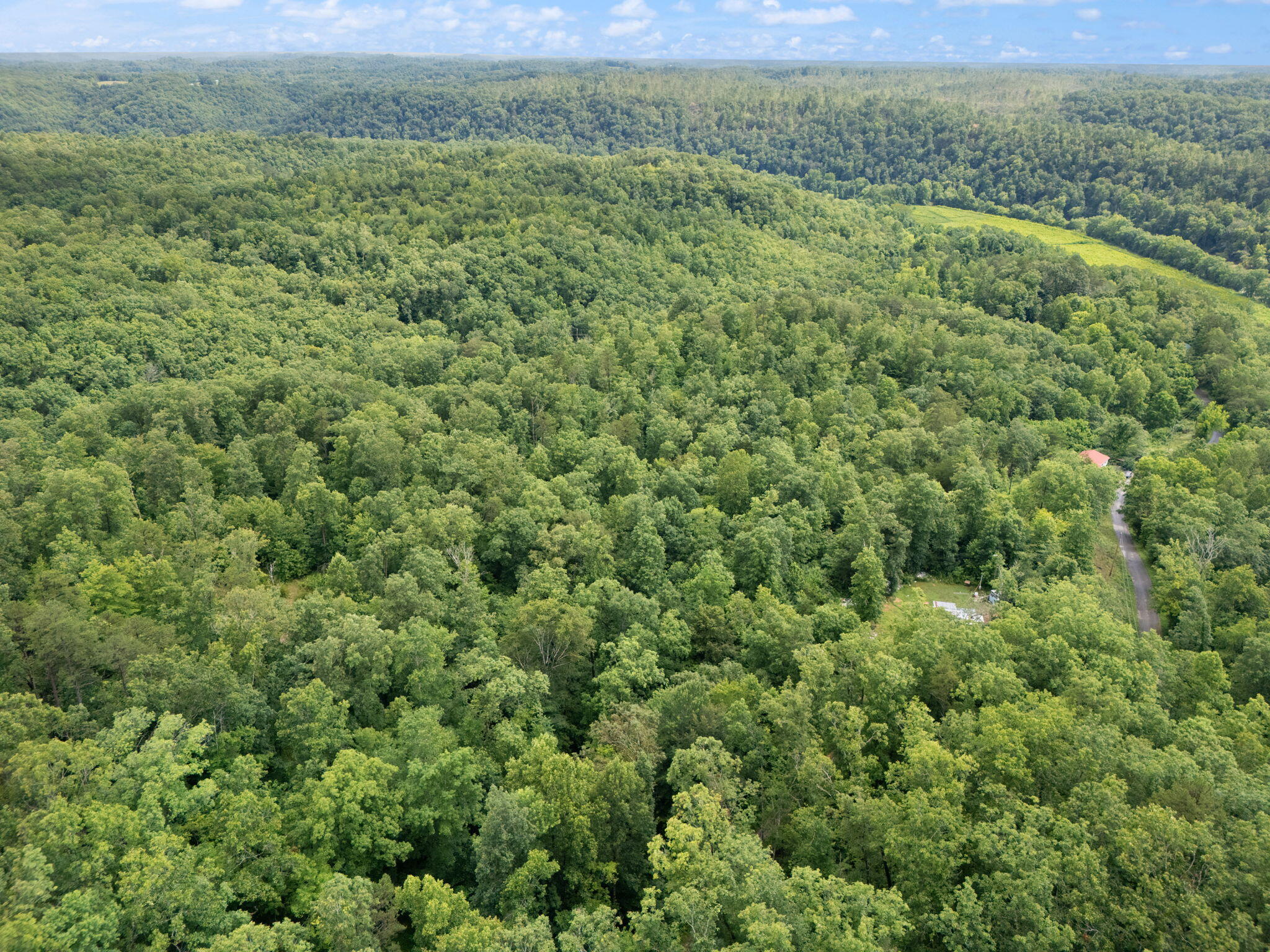 Beattyville, Kentucky 41311, United States, ,Land,Active,199285