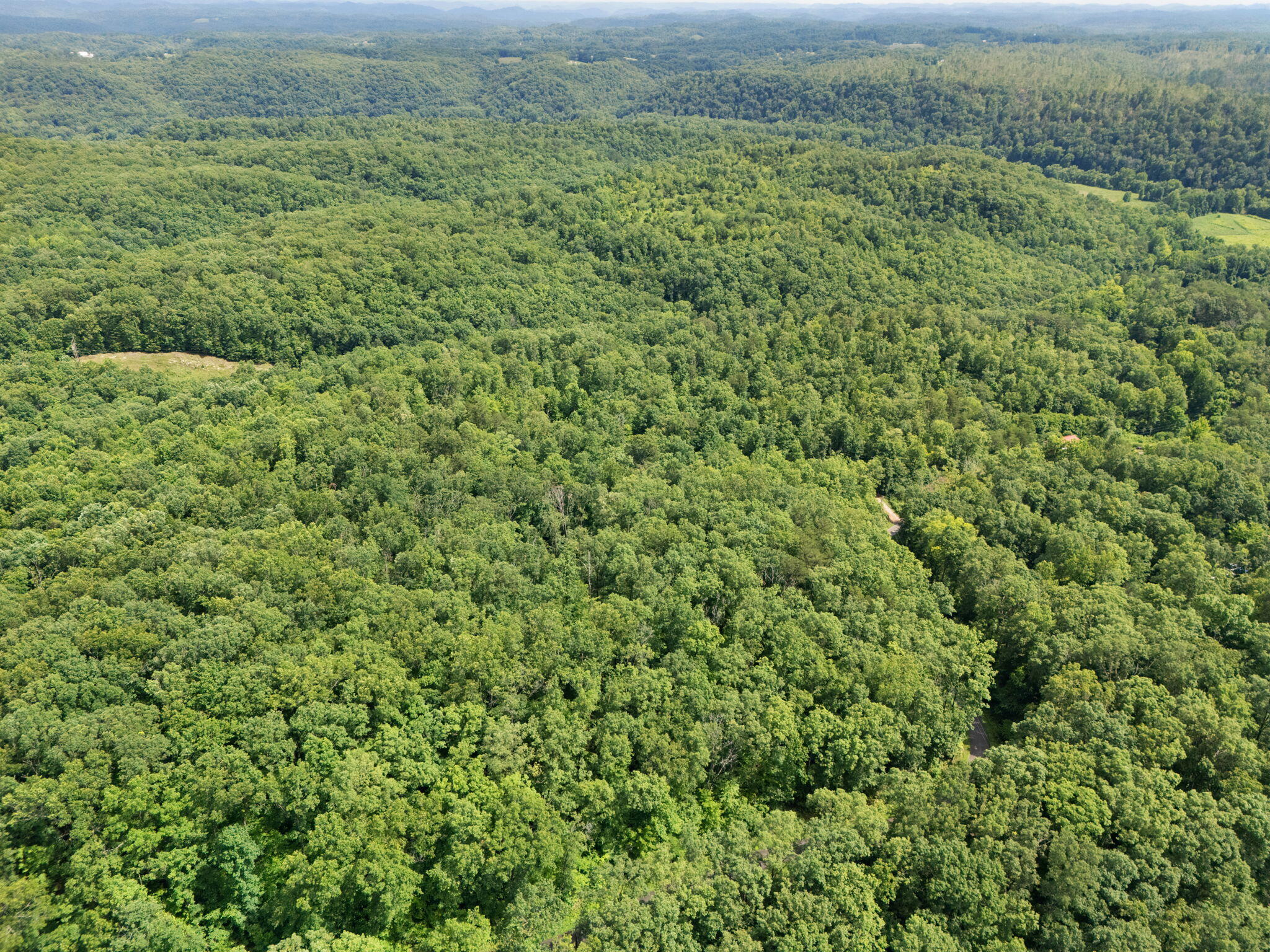 Beattyville, Kentucky 41311, United States, ,Land,Active,199285