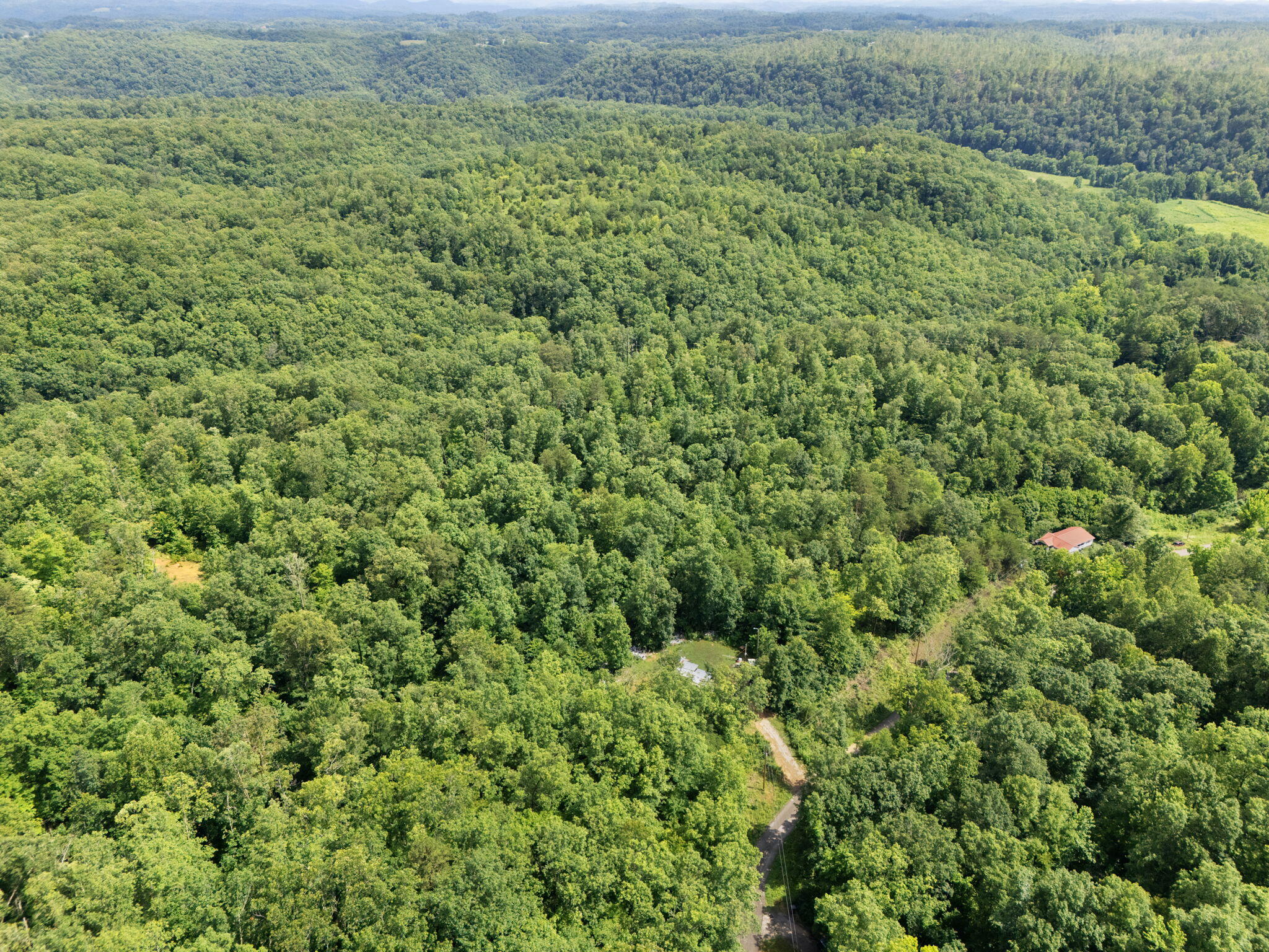 Beattyville, Kentucky 41311, United States, ,Land,Active,199285