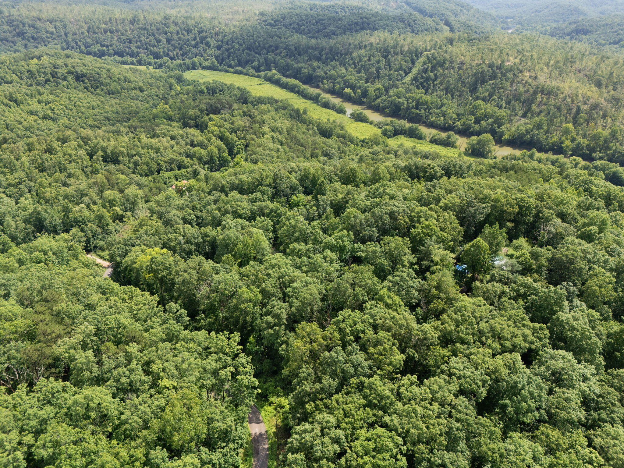 Beattyville, Kentucky 41311, United States, ,Land,Active,199285