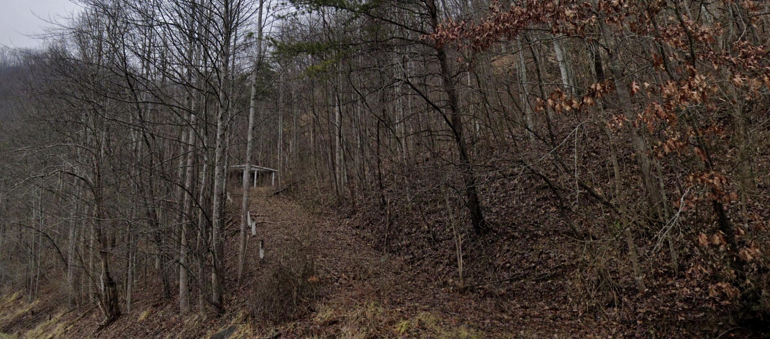 20184 Grapevine Road