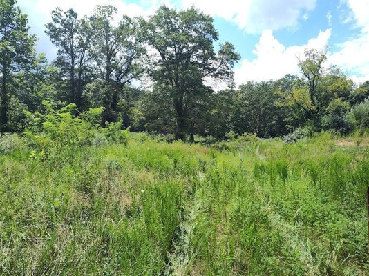 1150 LOGAN HOLW, MOREHEAD, KY 40351 - Image addb61a2bcddb7645b8e72be7b450d5a/2299637478