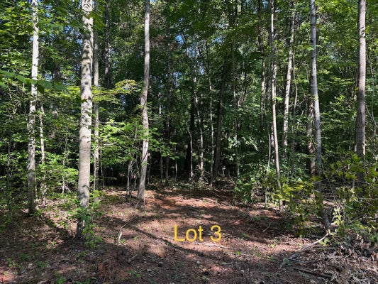5664 STATE HWY 1546, MONTICELLO, KY 42633 - Image ae5e2e466d74ae6e1f2d29a8a11f7248/1000829330