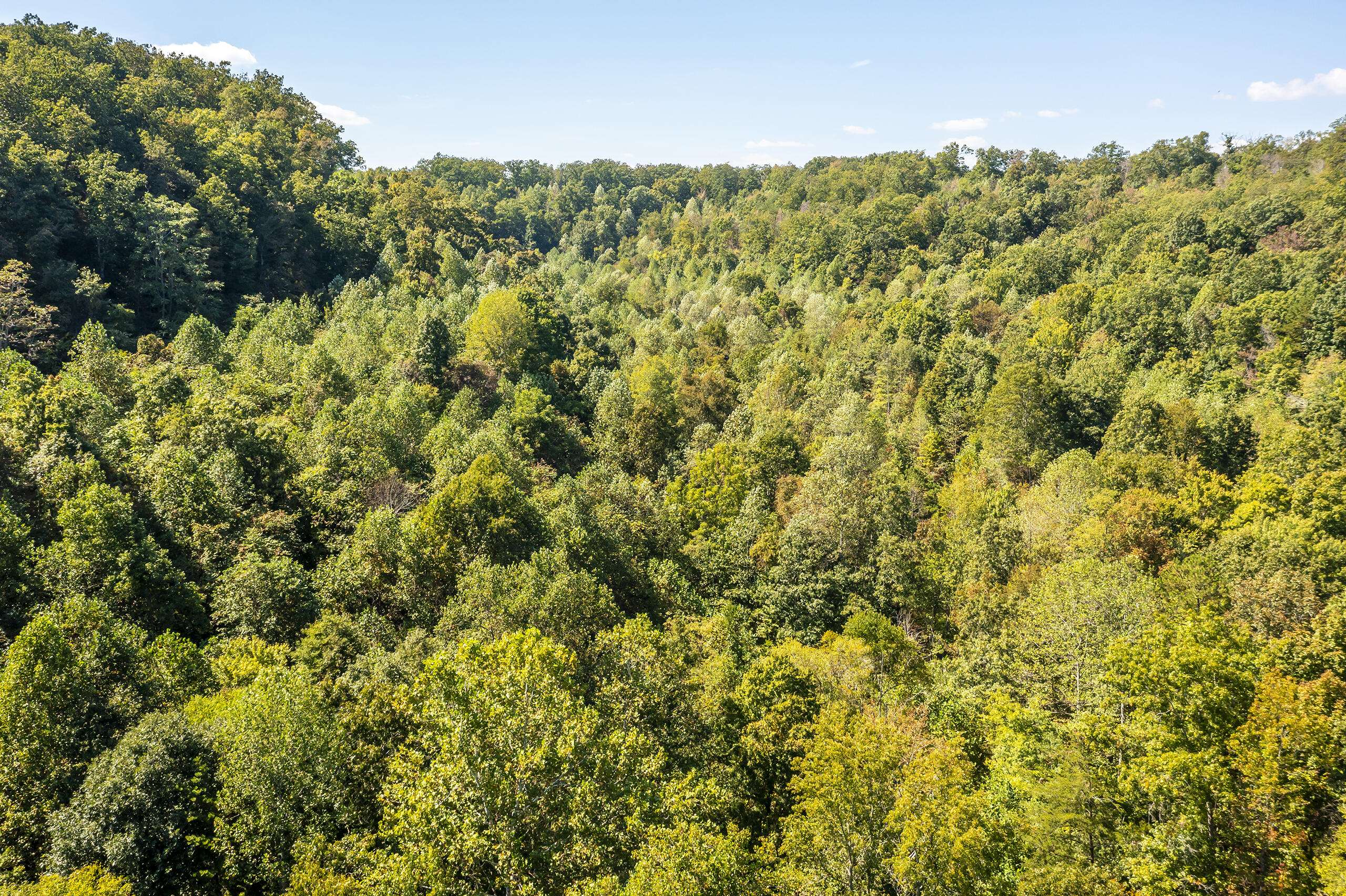 Berea, Kentucky 40403, United States, 2 Bedrooms Bedrooms, ,1 BathroomBathrooms,Residential,Active,214803