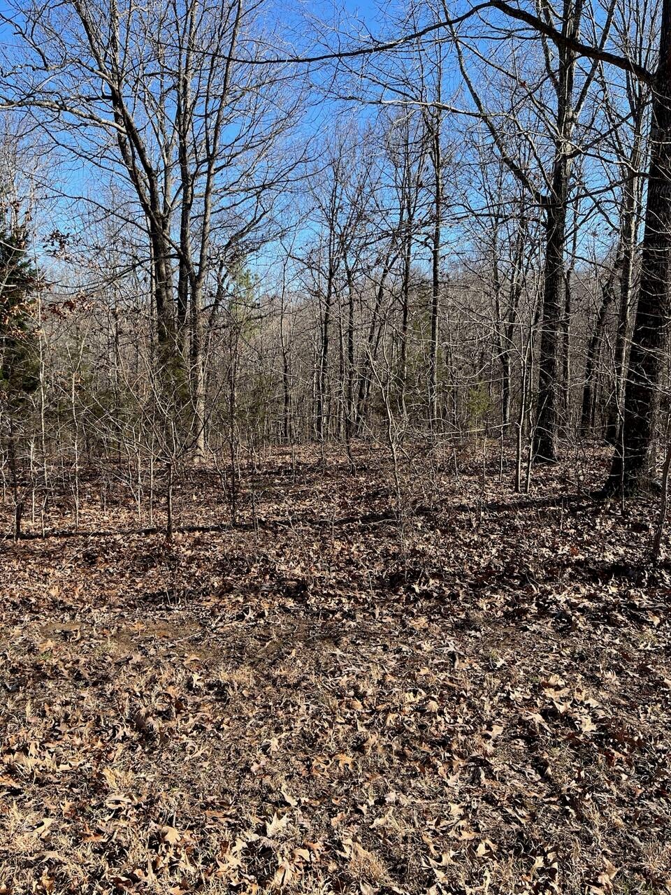 Photo 1 of 15 — Lot 62 Weekend Lane, Murray, KY 42071