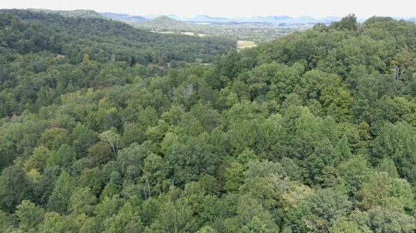 1803 FISHER CREEK RD, LEBANON, KY 40033 - Image b6f5674d248286ffa2fa80eb59f2e56d/484365635