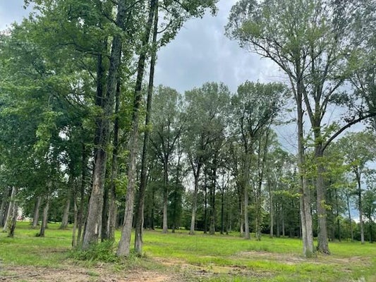 2620 ALLISON DR, PADUCAH, KY 42003 - Image b8b3a1770cd6ac92d8fdbbf101df55f3/1557831750