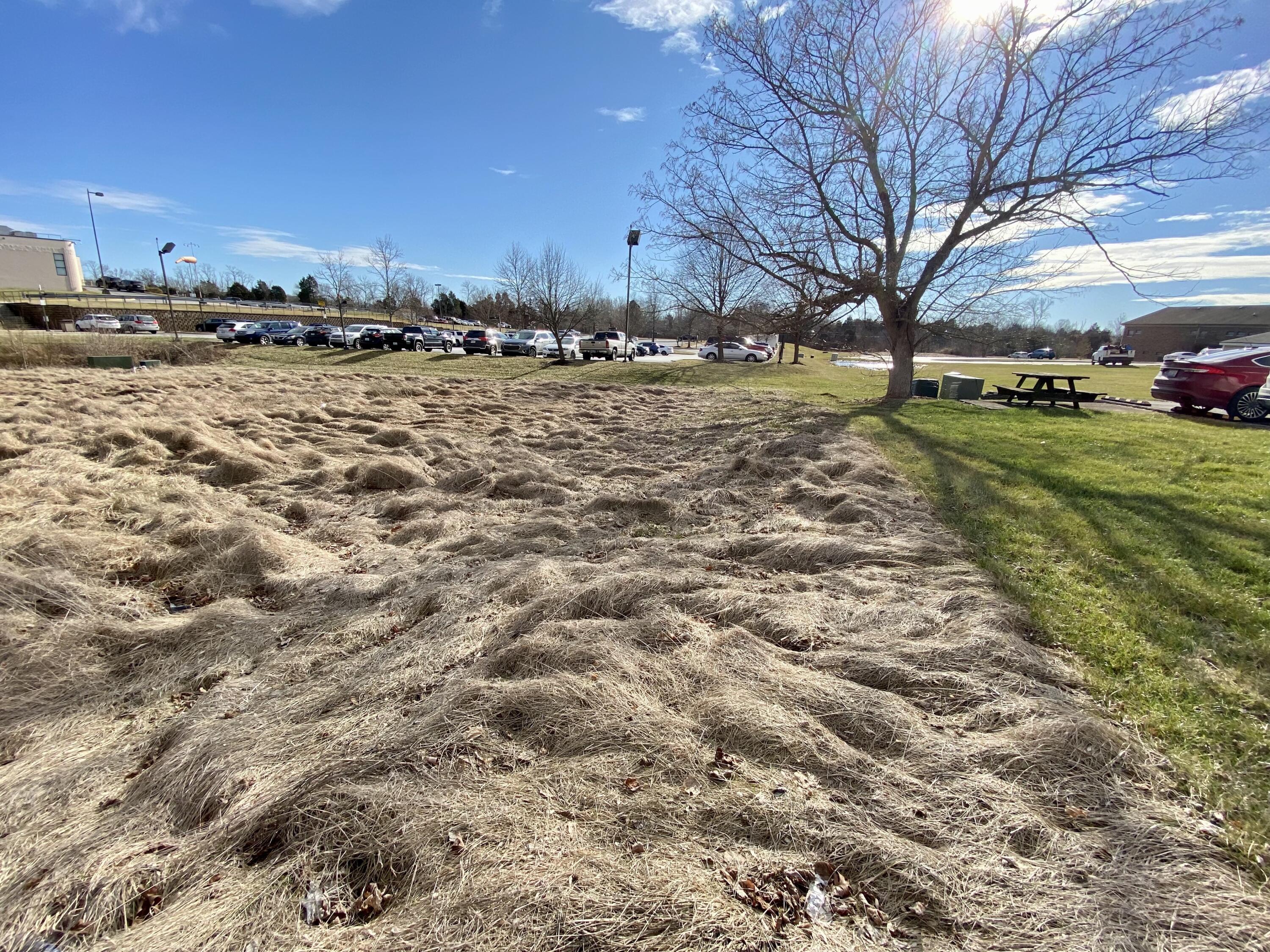 0 Physicians Park Park