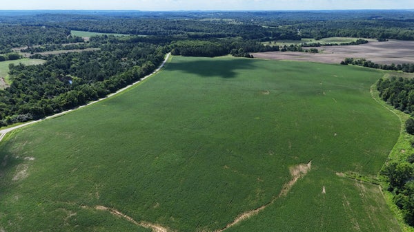 CAMPBELL CEMETERY RD, CROFTON, KY 42217 - Image baedbc2bea96733fa83f26dab12e92a8/992974380