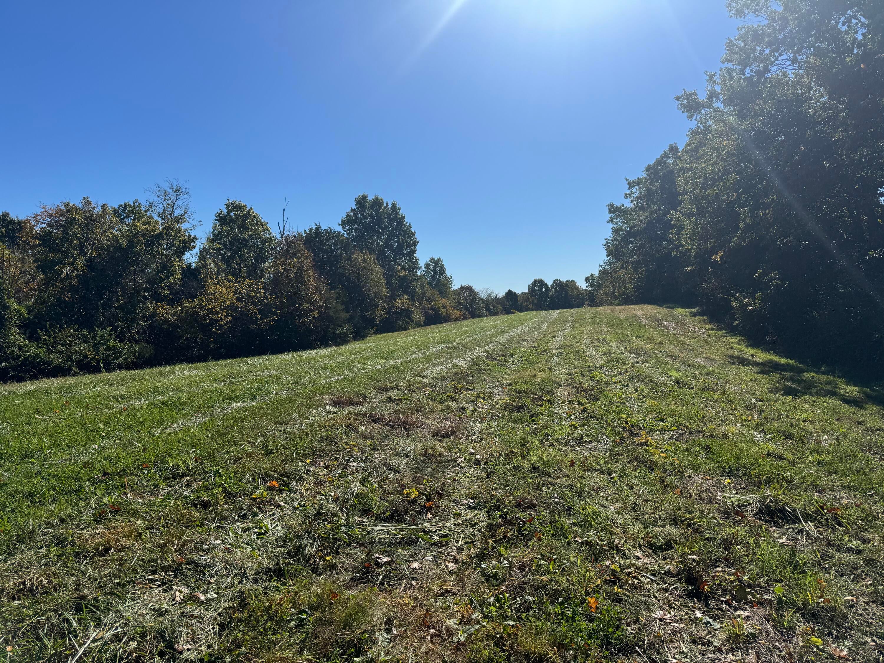3350 Bald Hill Road