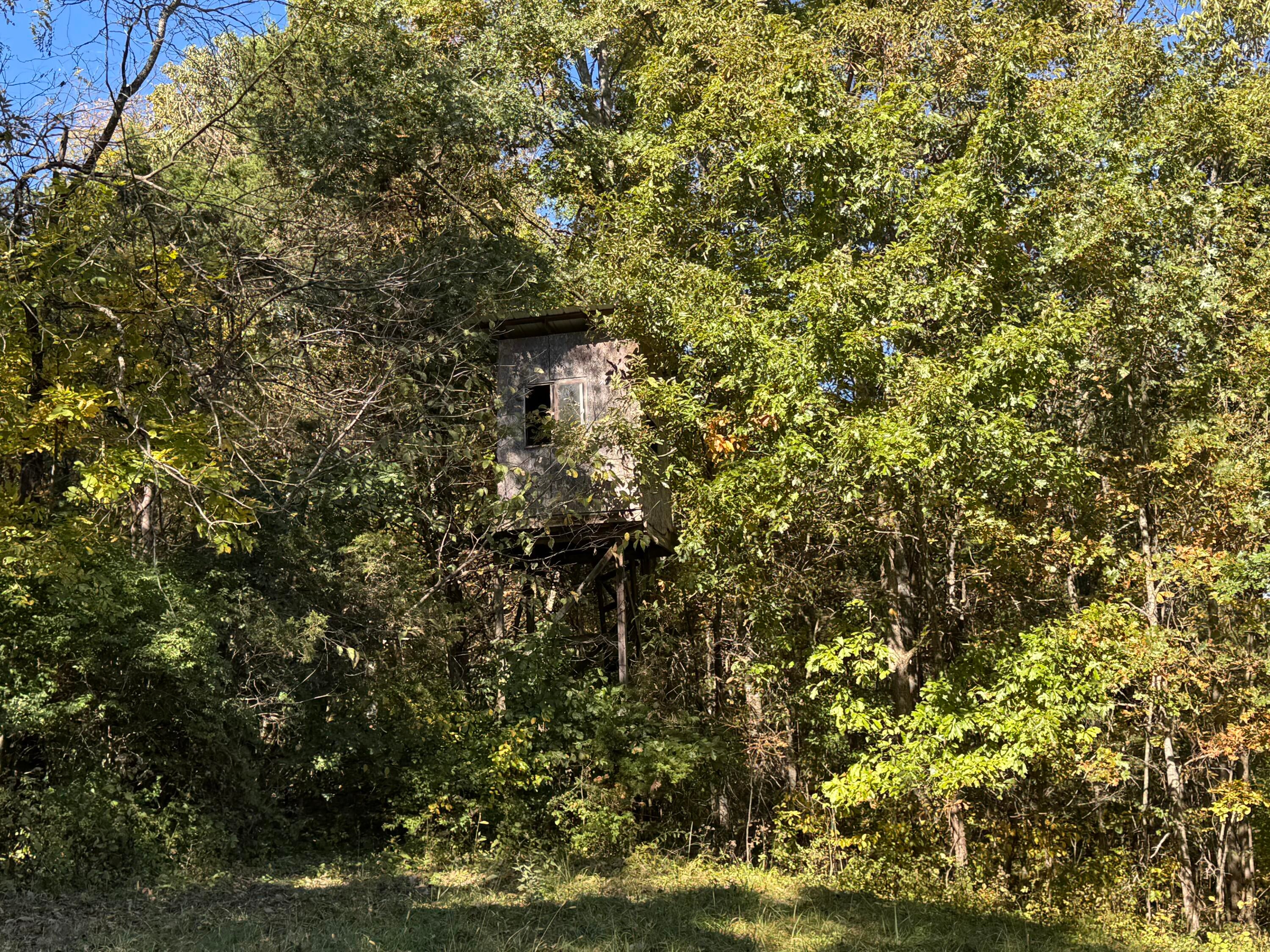 3350 Bald Hill Road