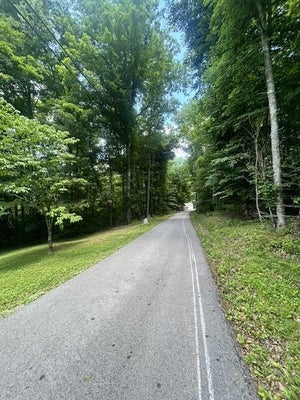 145 GODSEY AVE, WHITLEY CITY, KY 42653 - Image beb8a94c69d0ebc6c0d9fa77c8d78e9e/230685157