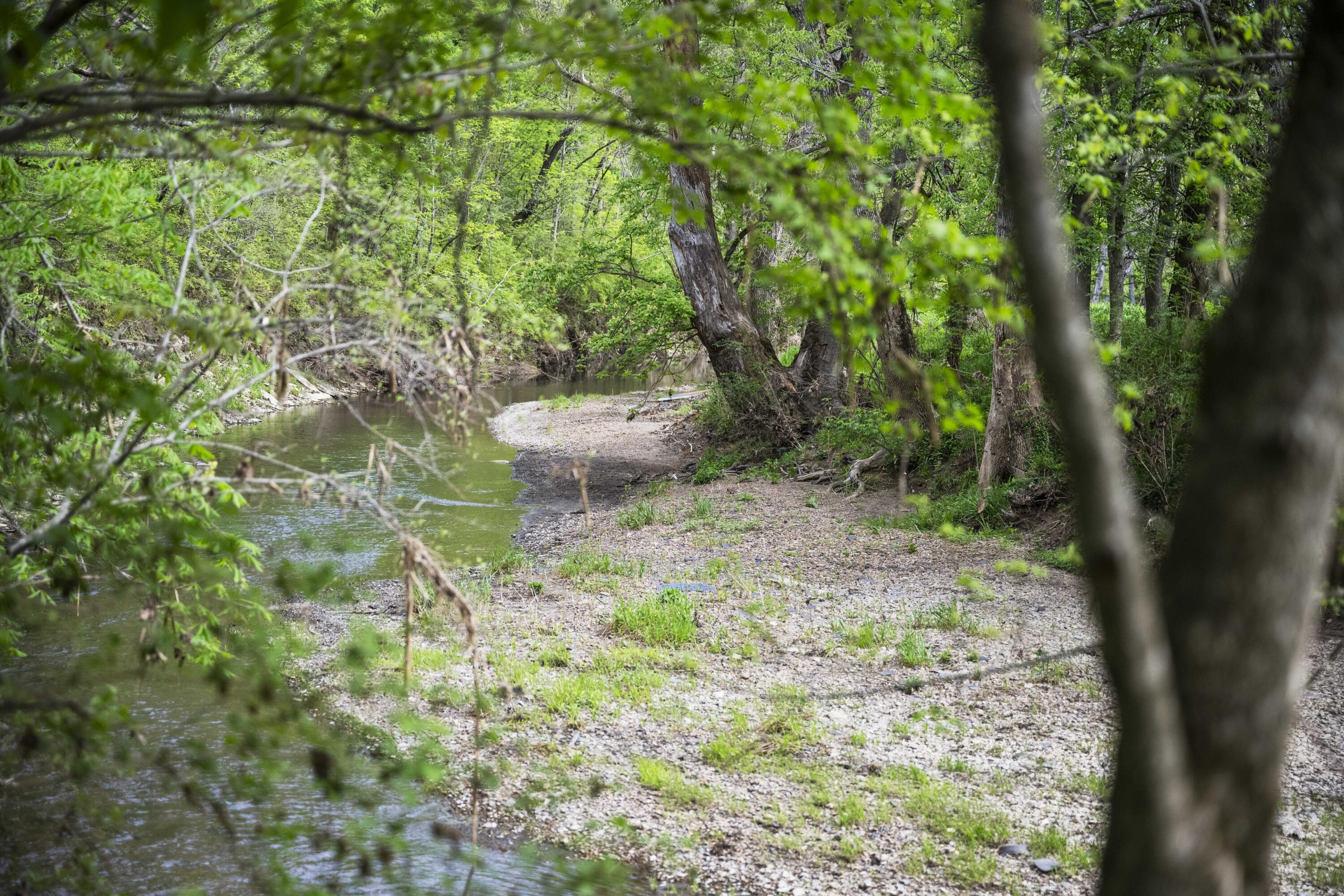 Berea, Kentucky 40403, United States, 1 Bedroom Bedrooms, ,2 BathroomsBathrooms,Residential,Active,116551