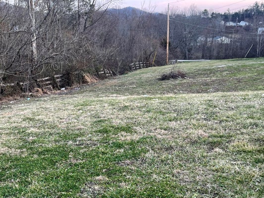 MEADOW TRL, BARBOURVILLE, KY 40906 - Image c340fa4a87bfd762ea0417dc5dcd008e/53954161