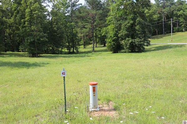 35 PINE VIEW DR, BENTON, KY 42025 - Image c42d86d8ca4c8ee34af46cb833a9d0e8/2707821876