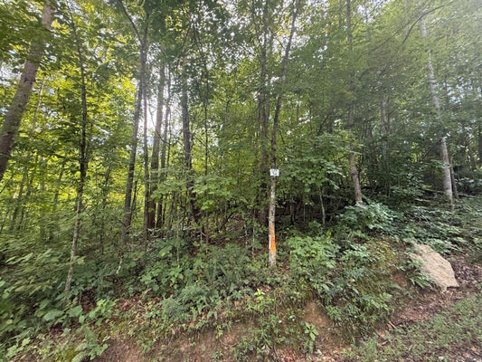34 BUCK CREEK CIR, SOMERSET, KY 42501 - Image c4c93bdfa6d95d4f2dce67dfb725329f/1324764799