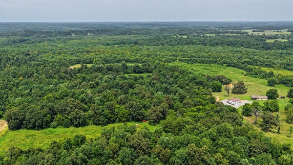 973 COYOTE RIDGE RD, CADIZ, KY 42211 - Image c635aa7fa91a9bfcb01eb0e66a1a113e/3471193095