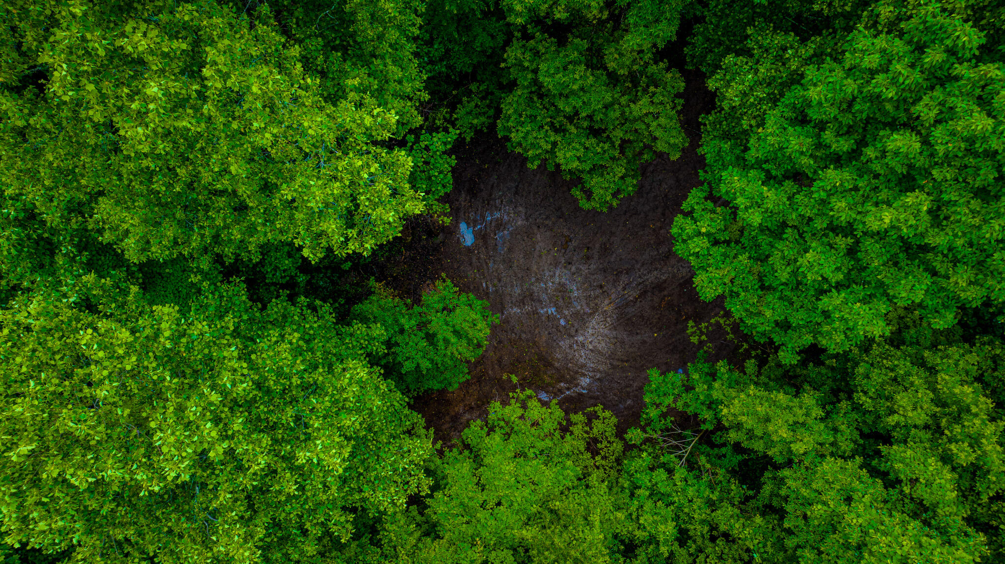 Irvine, Kentucky 40336, United States, 3 Bedrooms Bedrooms, ,2 BathroomsBathrooms,Residential,Active,164552