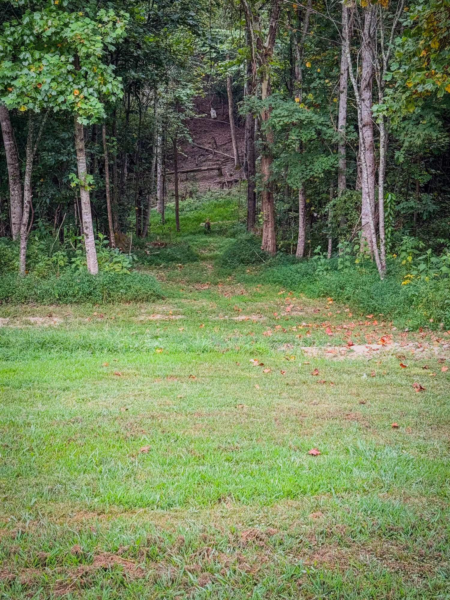 Irvine, Kentucky 40336, United States, 3 Bedrooms Bedrooms, ,2 BathroomsBathrooms,Residential,Active,164552