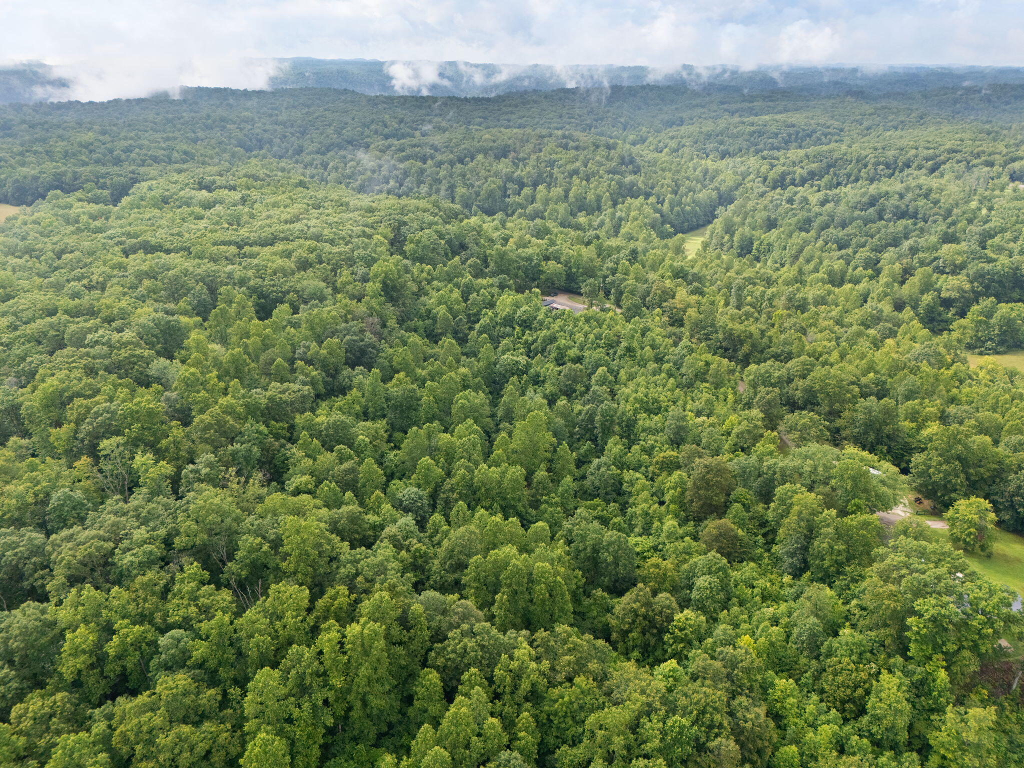 Irvine, Kentucky 40336, United States, 3 Bedrooms Bedrooms, ,2 BathroomsBathrooms,Residential,Active,164552