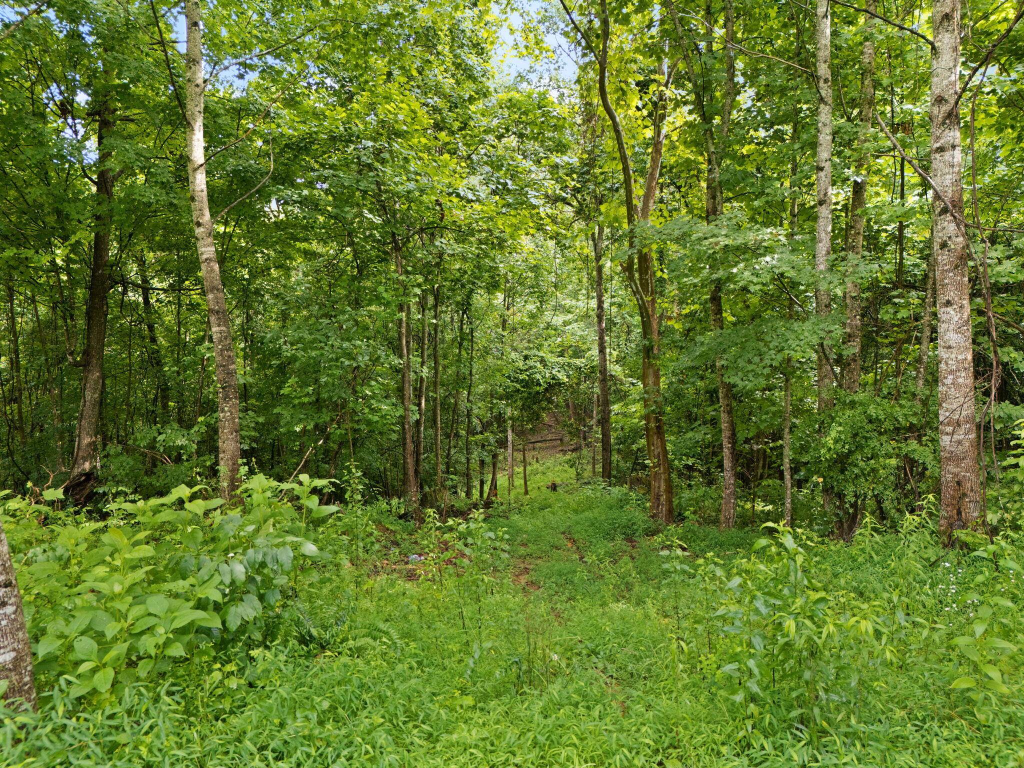 Irvine, Kentucky 40336, United States, 3 Bedrooms Bedrooms, ,2 BathroomsBathrooms,Residential,Active,164552