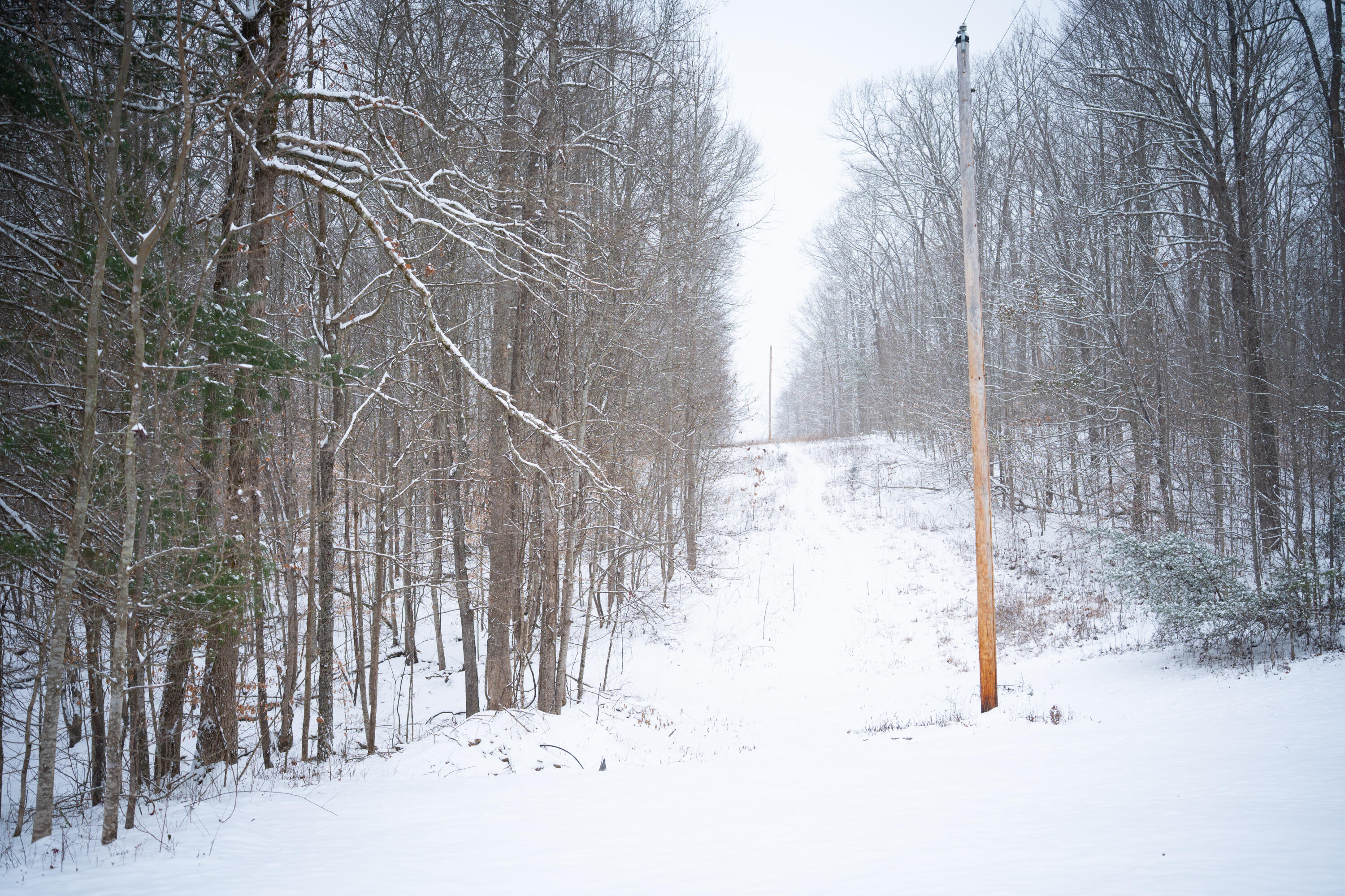 Irvine, Kentucky 40336, United States, 3 Bedrooms Bedrooms, ,2 BathroomsBathrooms,Residential,Active,164552