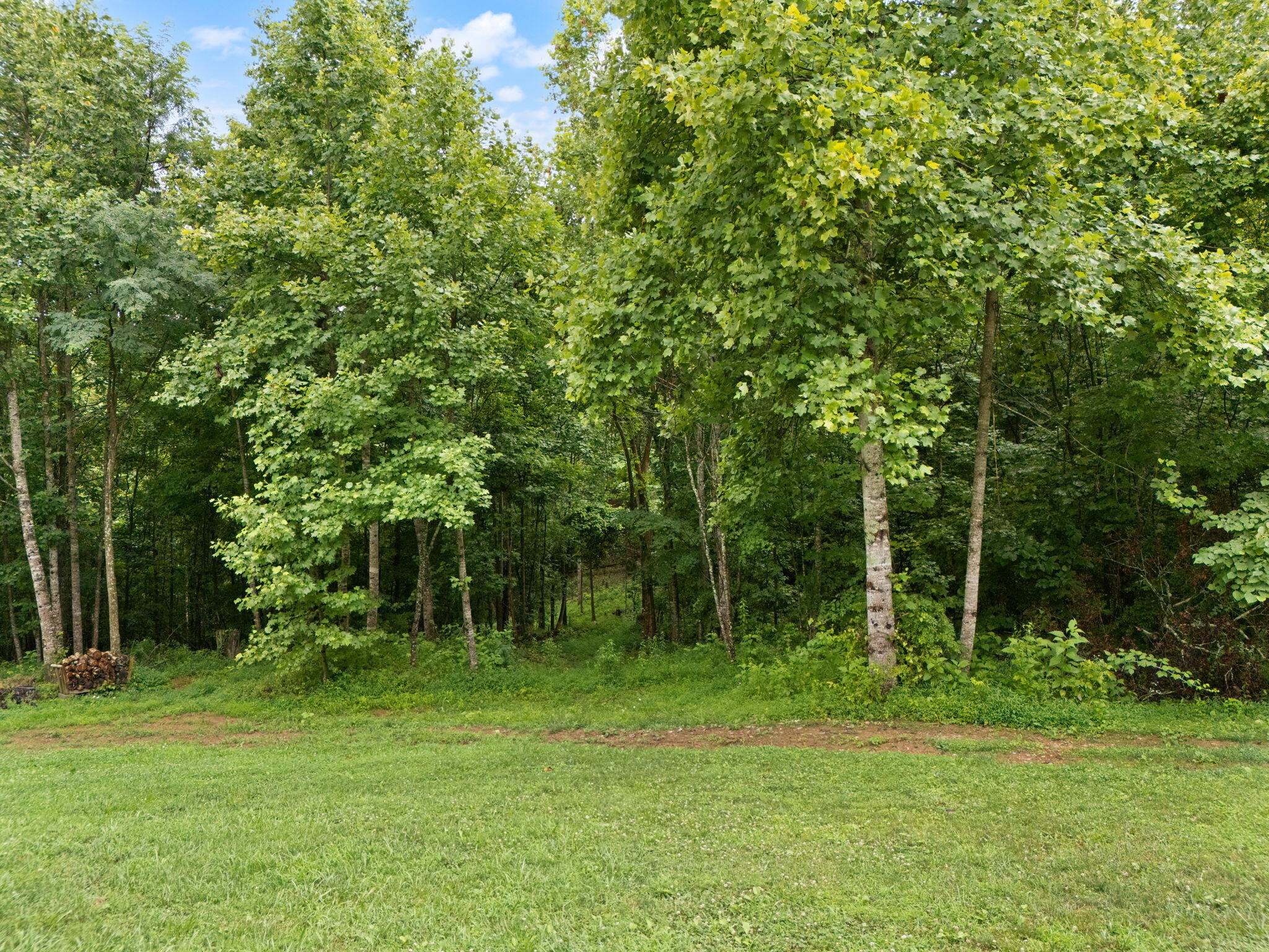 Irvine, Kentucky 40336, United States, 3 Bedrooms Bedrooms, ,2 BathroomsBathrooms,Residential,Active,164552