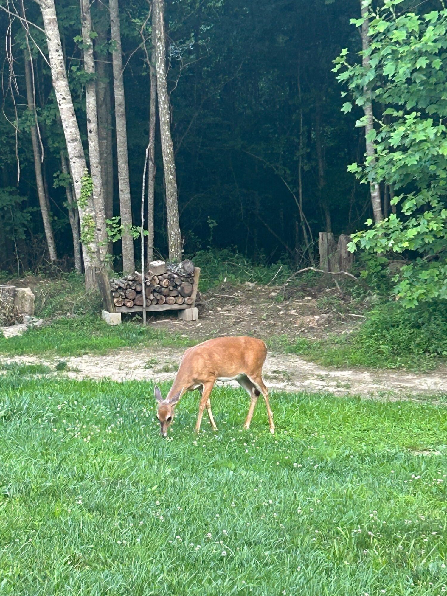 Irvine, Kentucky 40336, United States, 3 Bedrooms Bedrooms, ,2 BathroomsBathrooms,Residential,Active,164552