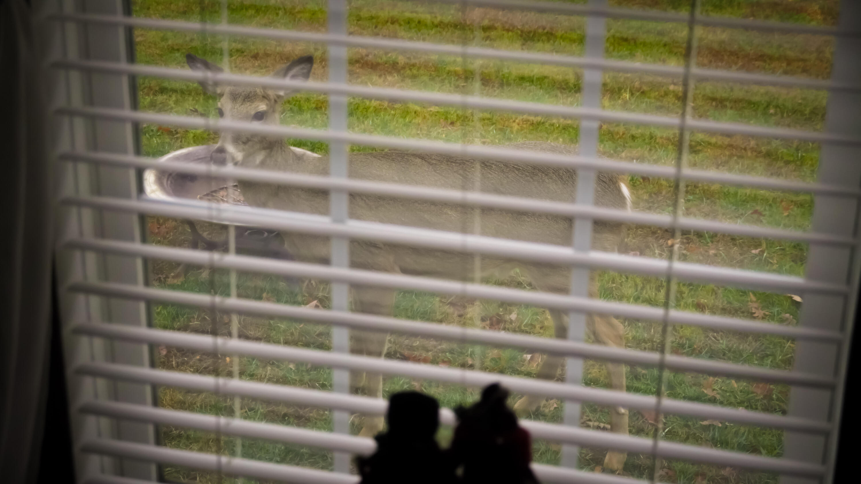 Irvine, Kentucky 40336, United States, 3 Bedrooms Bedrooms, ,2 BathroomsBathrooms,Residential,Active,164552