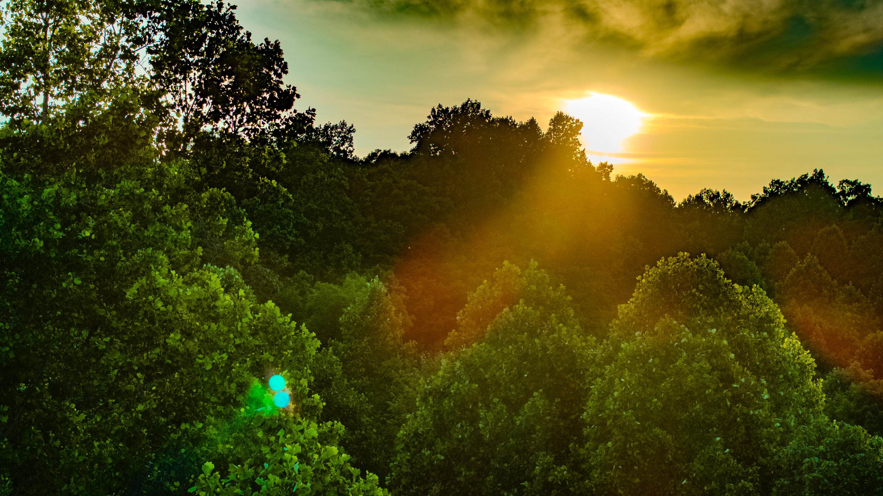 Irvine, Kentucky 40336, United States, 3 Bedrooms Bedrooms, ,2 BathroomsBathrooms,Residential,Active,164552