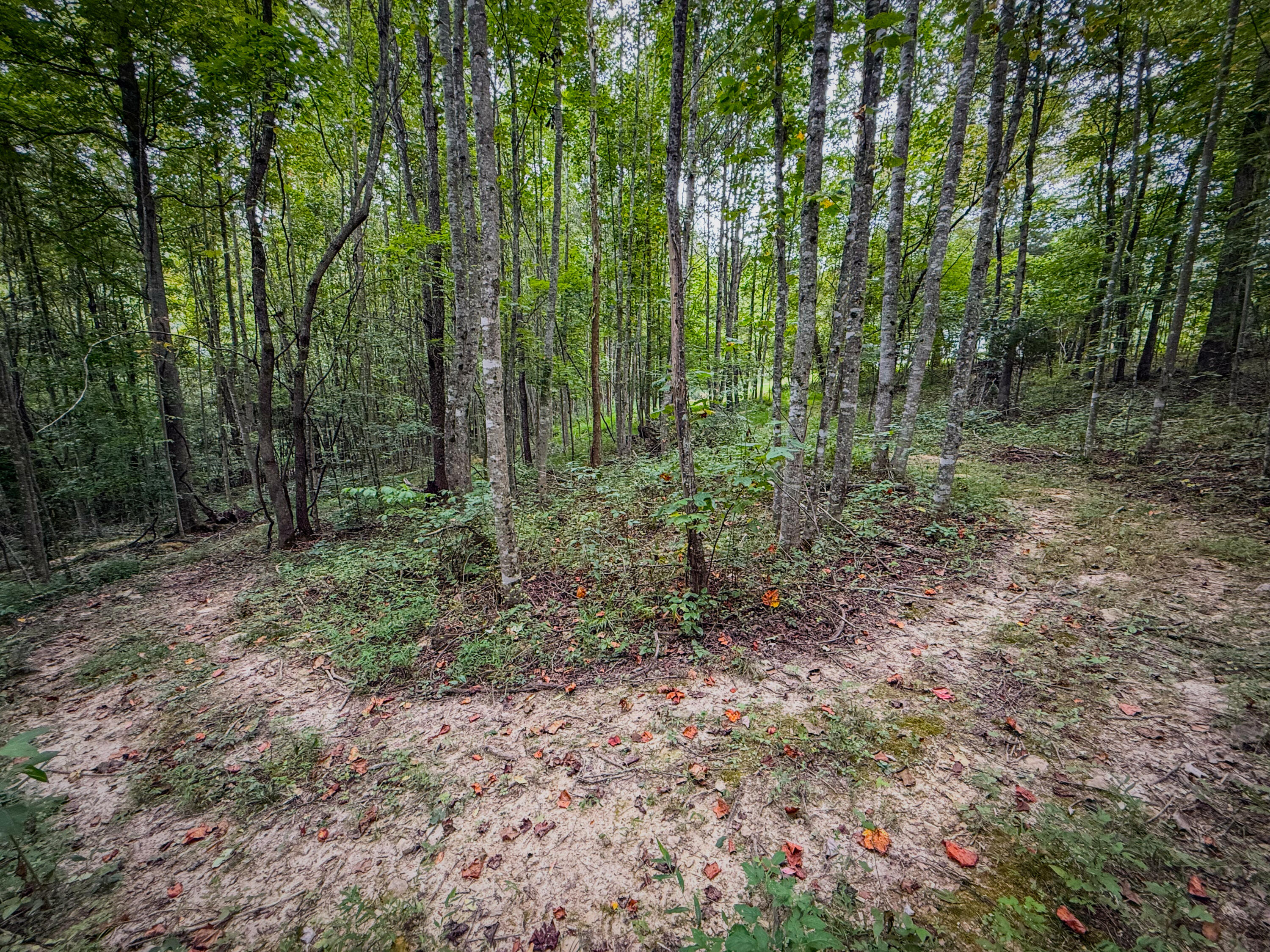 Irvine, Kentucky 40336, United States, 3 Bedrooms Bedrooms, ,2 BathroomsBathrooms,Residential,Active,164552