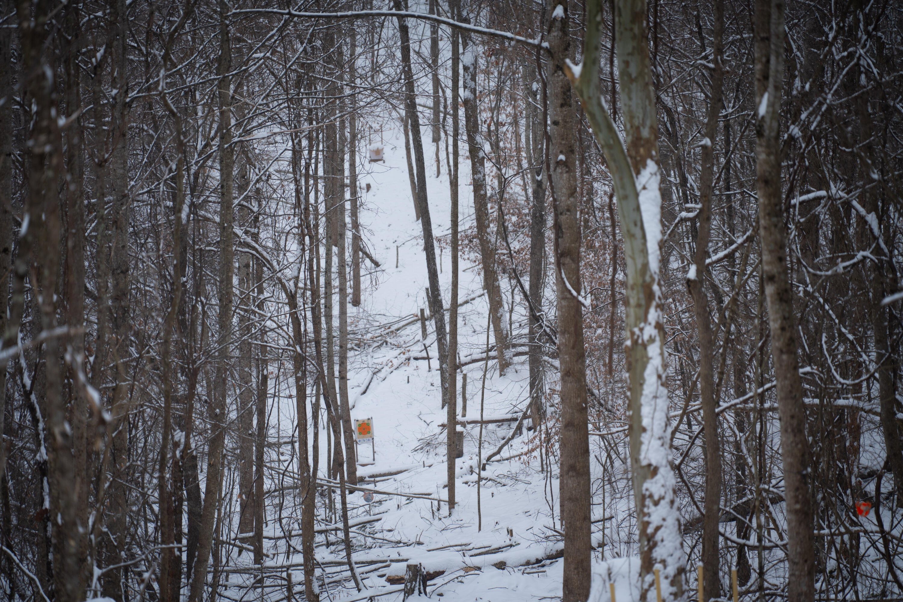 Irvine, Kentucky 40336, United States, 3 Bedrooms Bedrooms, ,2 BathroomsBathrooms,Residential,Active,164552