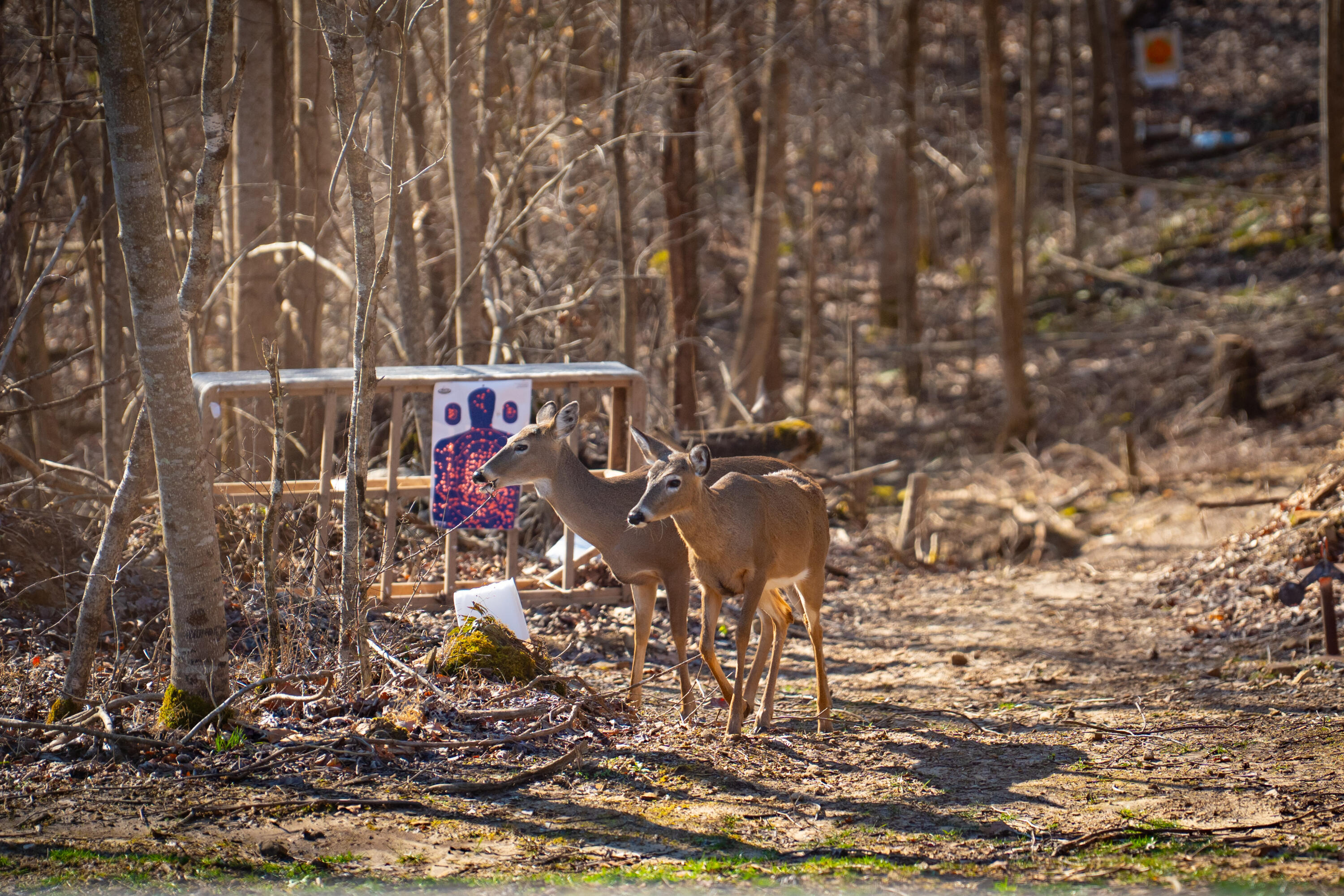 Irvine, Kentucky 40336, United States, 3 Bedrooms Bedrooms, ,2 BathroomsBathrooms,Residential,Active,164552