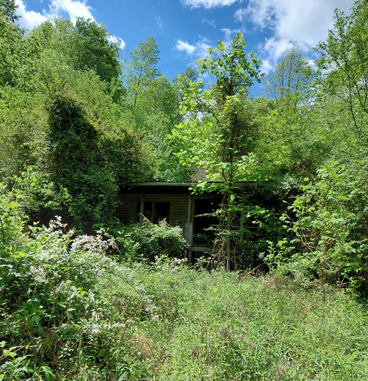 803 Hall Branch Road