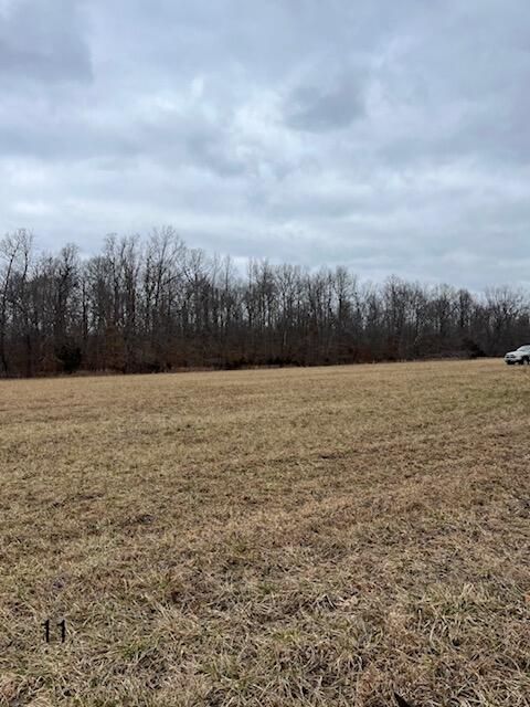 Tract 11 Dug Hill Road, Brodhead, KY 40409 - #: 24001723